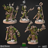 Blood Shaman 3D-printed model